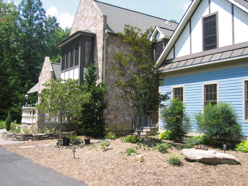 front garden bed and new redbud