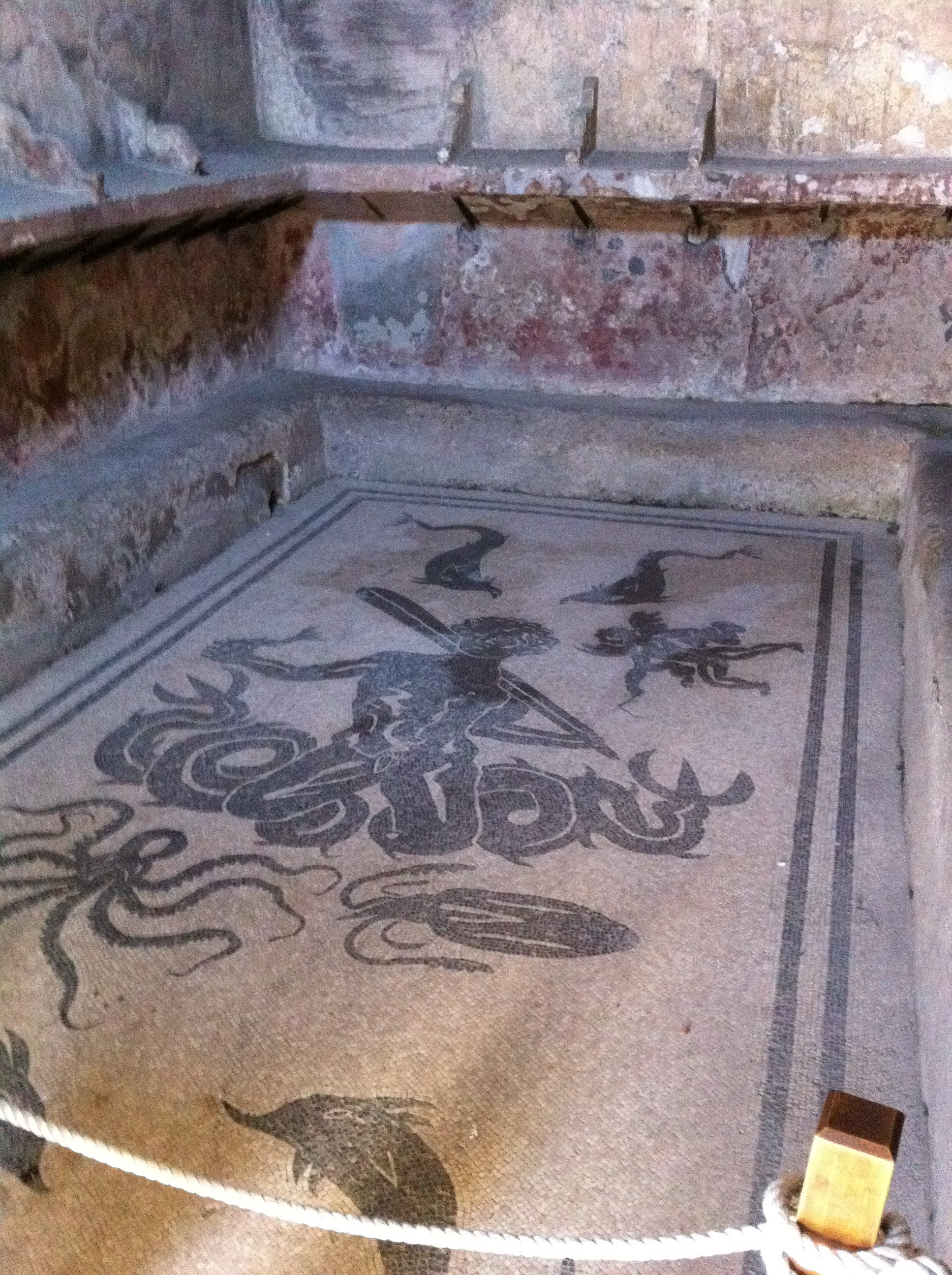 Herculaneum Floor