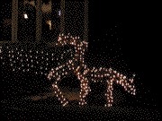 image of lawn decoration deer fornicating