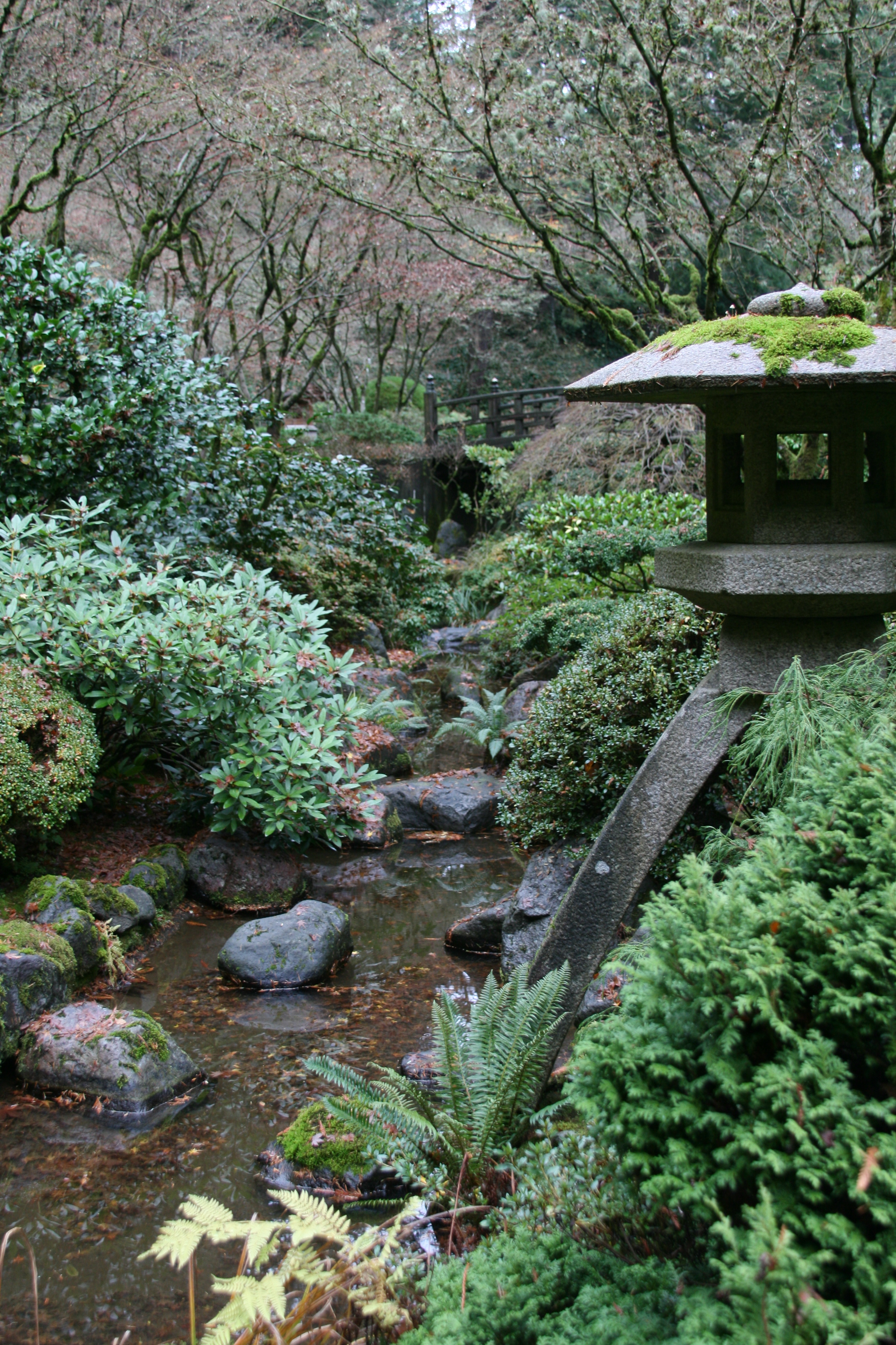 Lantern in Natural Japanese Garden