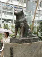 photo of Hachiko statue