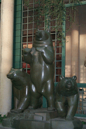 Polar Bears
