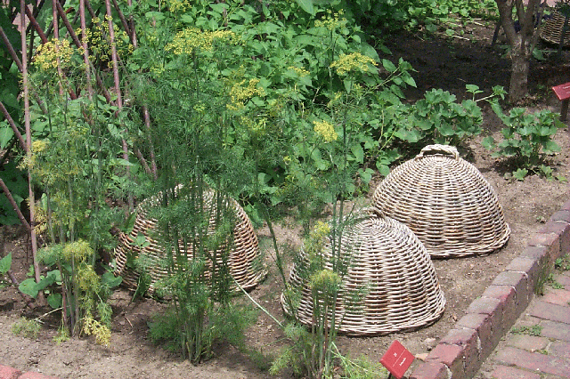 Wicker3